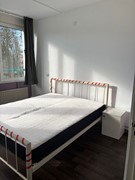 WhatsApp Image 2026-02-04 at 11.47.39 (1).jpeg